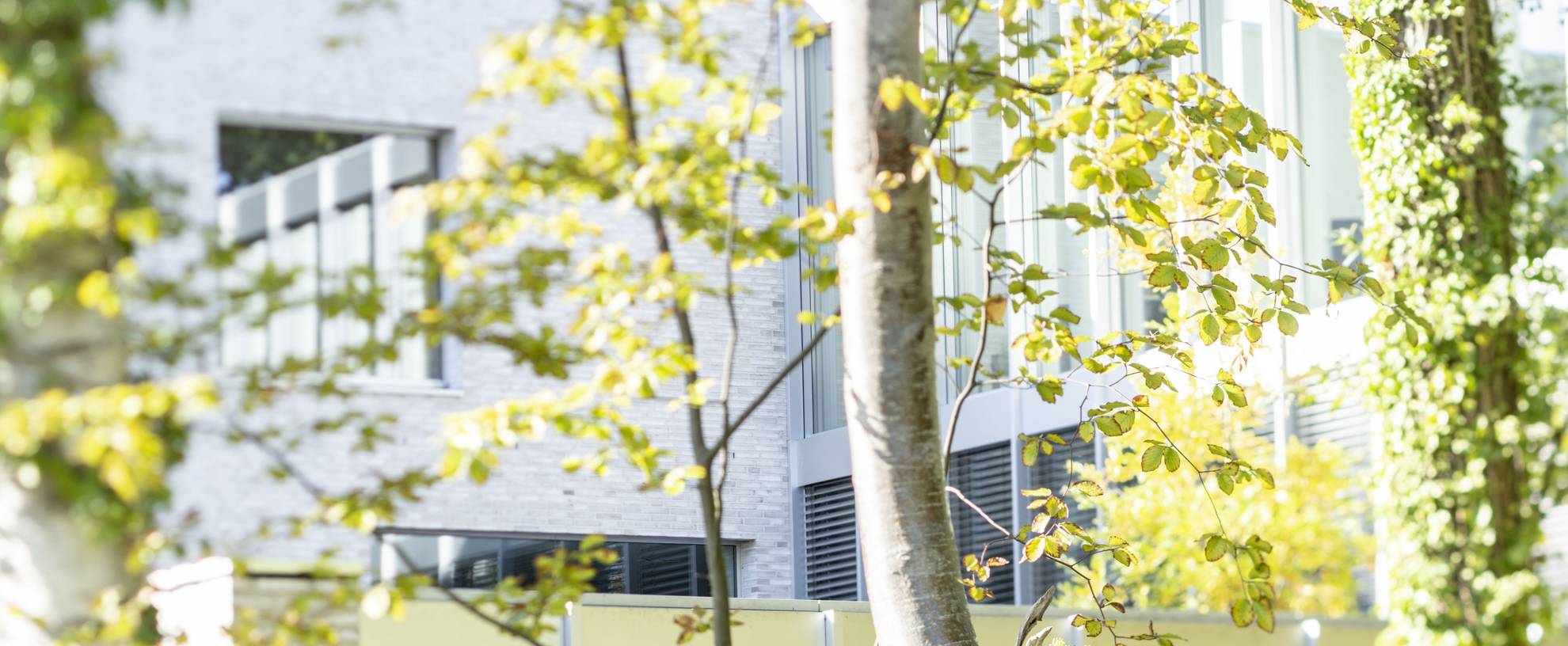 Lesen Sie das Statement von Geschäftsführer Klaus Bock zum Thema Refurbishment bei bock: 